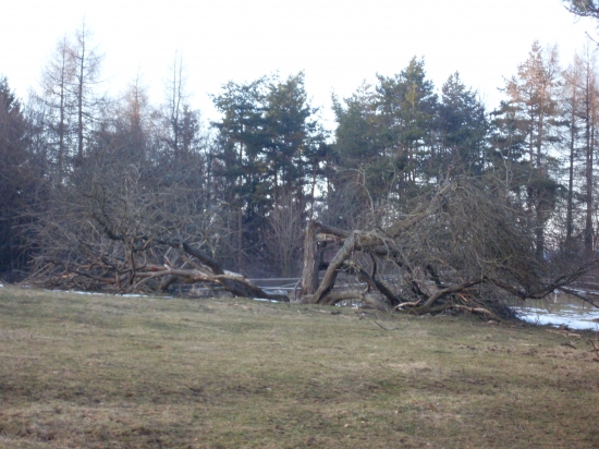 Čo dokáže jedna búrka :(