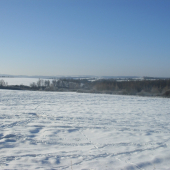 Lúka pobehaná od vysokej...