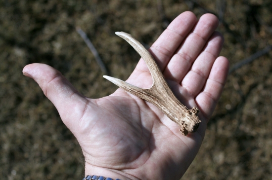 taký maličký...minuloročný...