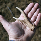 taký maličký...minuloročný...