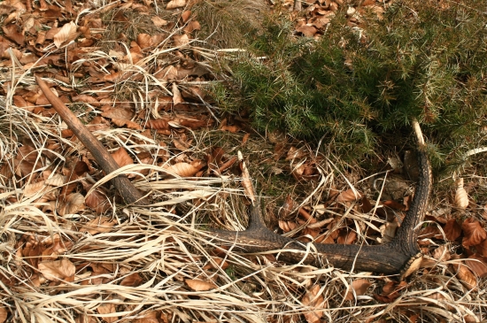 taký milý, menší, starší....