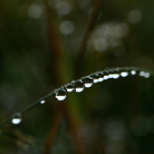 ..taká z tieňa....