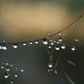 pokročilé jesenné ráno....