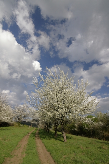 jarná provokácia...