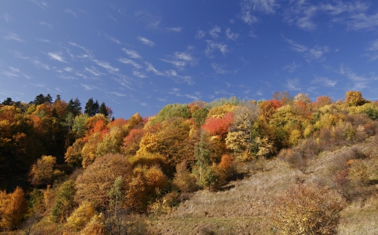 skutočne pestrá paleta...