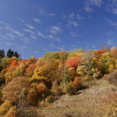 skutočne pestrá paleta...