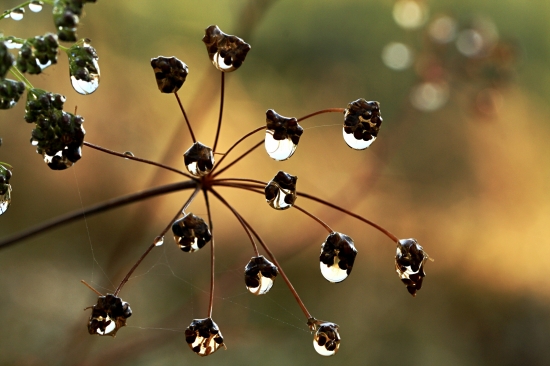 po daždivej noci...