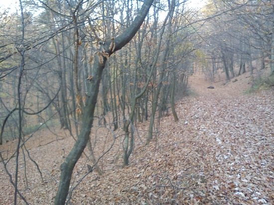 Neprešiel cez štátnu  hranicu