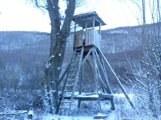 Posed z ID 222600_stojí