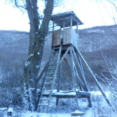 Posed z ID 222600_stojí