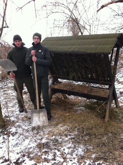 staroslivosť o zver