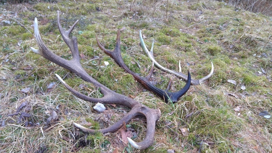 Keď to najmenej čakáš