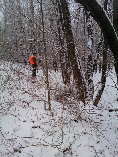 nájdete druhého honca na fotke? dôležitosť reflexných viest...