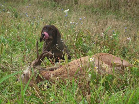 Po úspešnej dohľadávke....