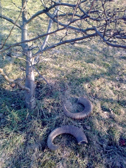 Že by už zhadzovali?
