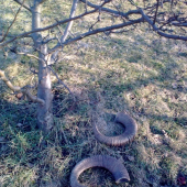 Že by už zhadzovali?