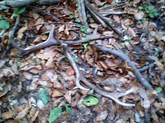 .....................