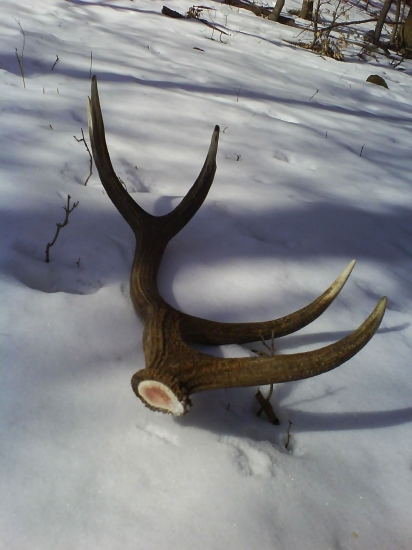 dnešný úlovok  4,15 kg