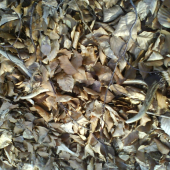 Včerajší ale mi ide karta