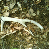 dnešný úlovok asi čerstvý