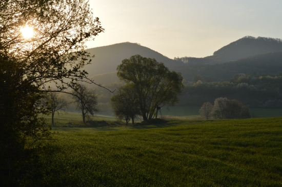 ranná vychádzka