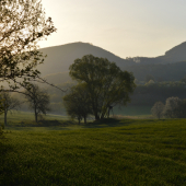 ranná vychádzka