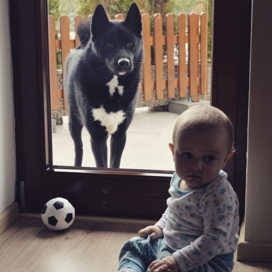 Ares- keď nepoľuje tak stráži...