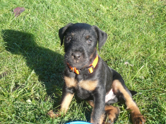 Rony-Komjatické jazero