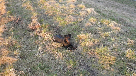 moj Gero Komjaticke jazero