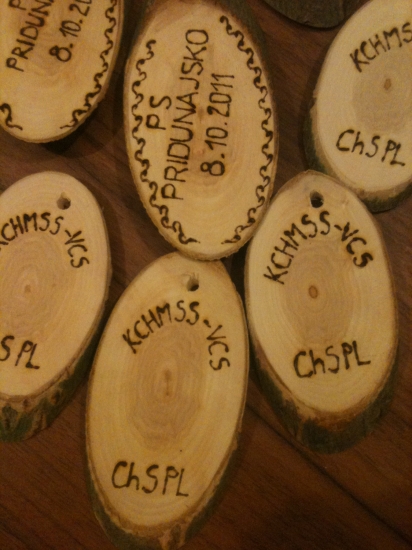 Vypalované štartovacie čísla