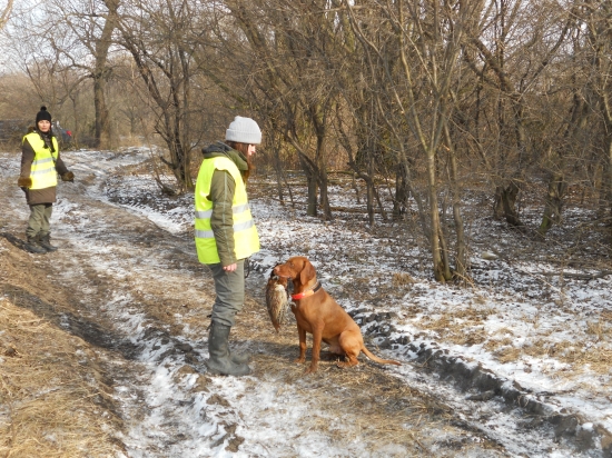 Posledna polovačka na bažanty