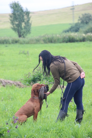 dohladavka pernatej - odovzdanie