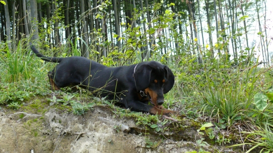 Iris z Libeníčka, 5 měsíců