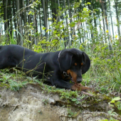 Iris z Libeníčka, 5 měsíců