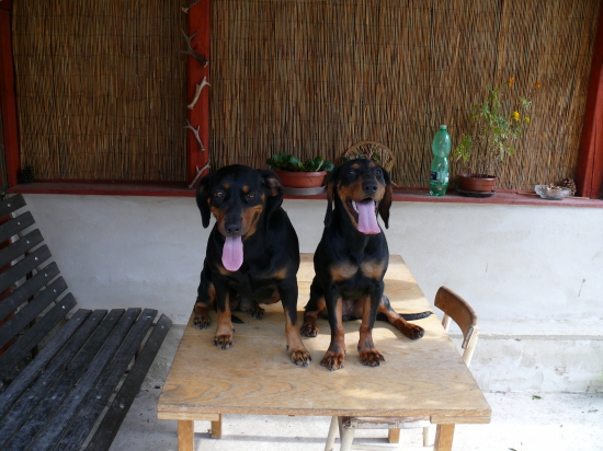 Iris z Libeníčka a Pety z Čerešňovej chvilka oddychu