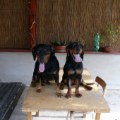 Iris z Libeníčka a Pety z Čerešňovej chvilka oddychu