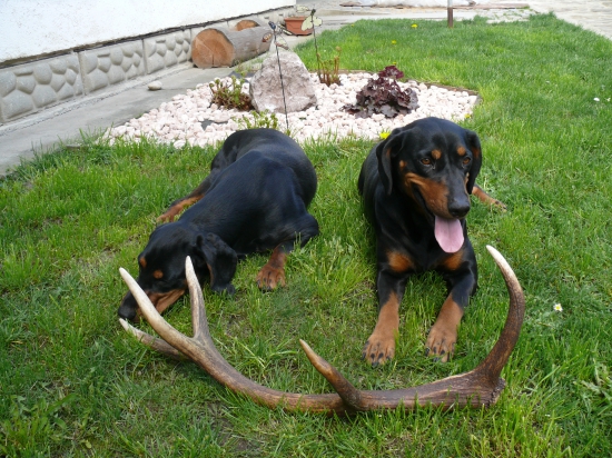 Kopíci a desaterák