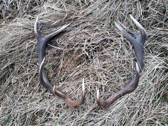 Když se štěstí unaví :)