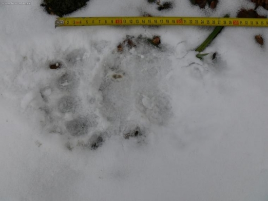 ještě jedna (přední)