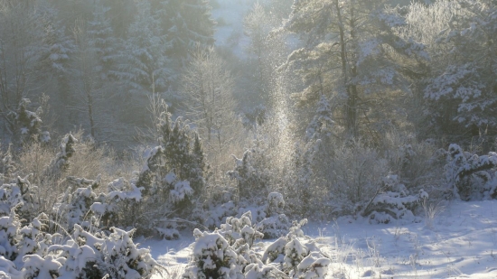 -14°C v odraze paprsků vycházejícího slunce :)