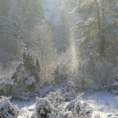 -14°C v odraze paprsků vycházejícího slunce :)