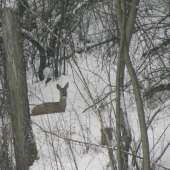 Urob Foto a nechaj ma.