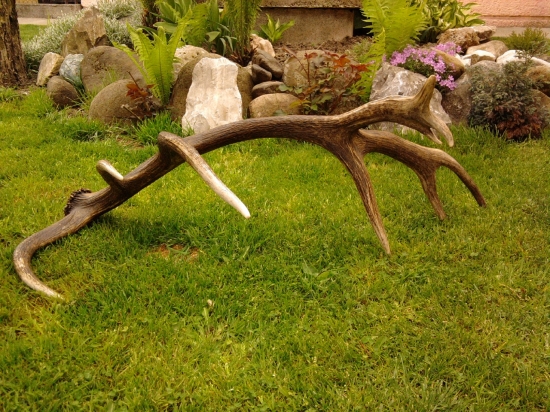 Druhý sa nenašiel.