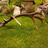 Druhý sa nenašiel.