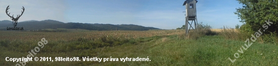 Šiba