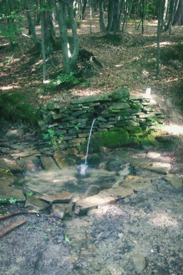 Studnička