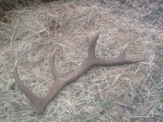 dnešný desaťtorák