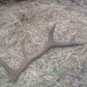 dnešný desaťtorák