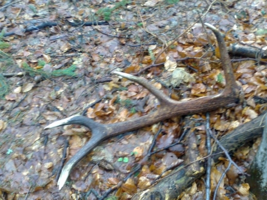 Dneskajší 10 torák