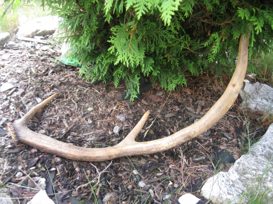 darček od kamaráta